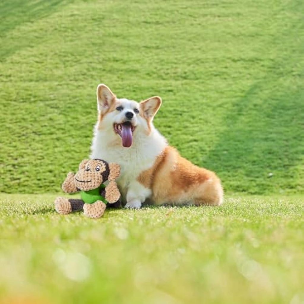 Dog Toys Cute Squeaky Monkey Puppy Toys Plush Dog Toys With Stuffed Animal To Keep Busy For Small Medium Dogs Indoor With Outdoor