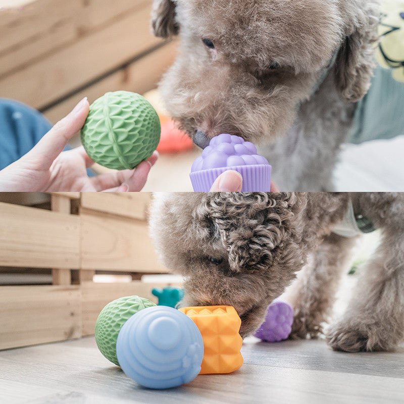 Molar Toy Set Chews Puppies To Relieve Boredom